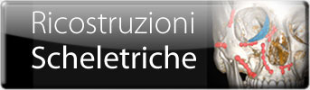 Ricostruzioni Scheletriche